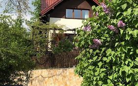 Lesna 6 - House With A Garden